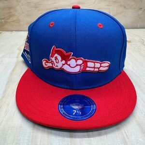 NEW Sankei Atoms Ebbets Field Flannels DNA Fitted Cap Hat Black sz 7 3/8